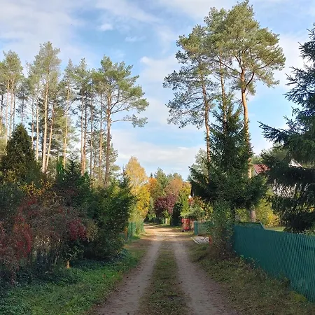 W Borach Tucholskich - Holiday home