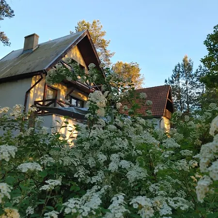 Holiday home W Borach Tucholskich - Wycinki