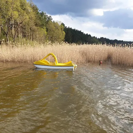 Сasa de vacaciones W Borach Tucholskich - Wycinki