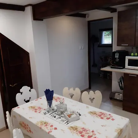 W Borach Tucholskich - Wycinki