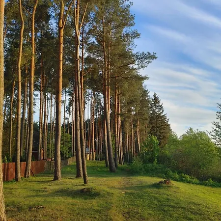 W Borach Tucholskich - Сasa de vacaciones