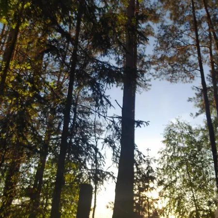 W Borach Tucholskich - Сasa de vacaciones Wycinki