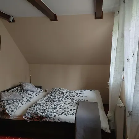 W Borach Tucholskich - *