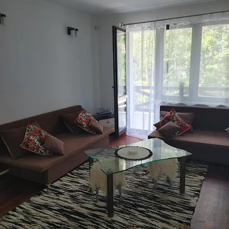 W Borach Tucholskich - Wycinki