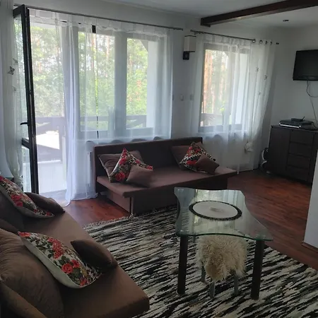 W Borach Tucholskich - * Wycinki