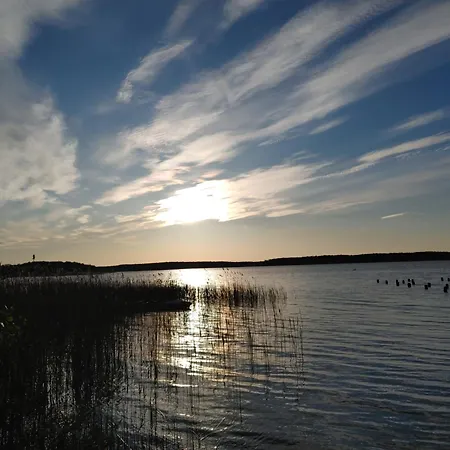 W Borach Tucholskich - *