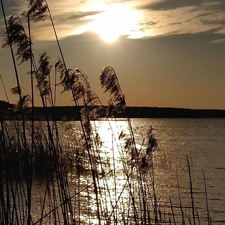 W Borach Tucholskich -