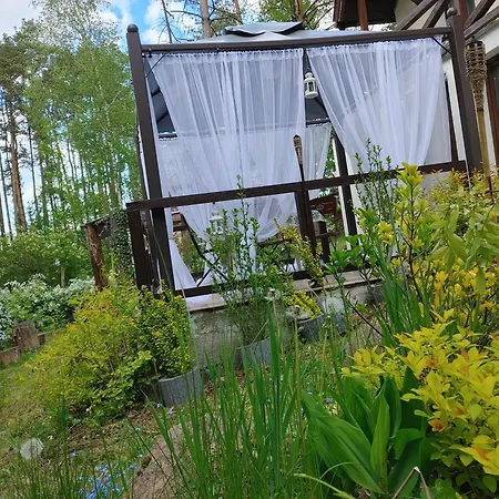 W Borach Tucholskich - Wycinki