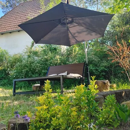 Сasa de vacaciones W Borach Tucholskich - Wycinki