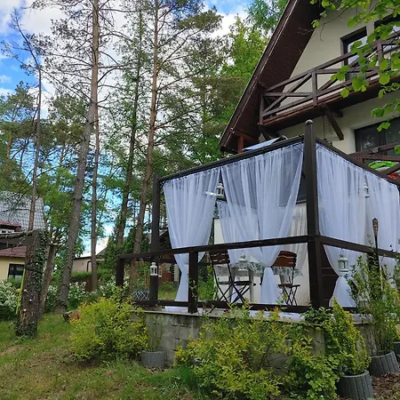 W Borach Tucholskich -