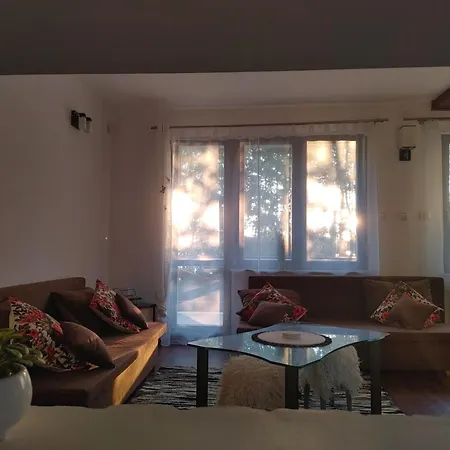 Сasa de vacaciones W Borach Tucholskich - *