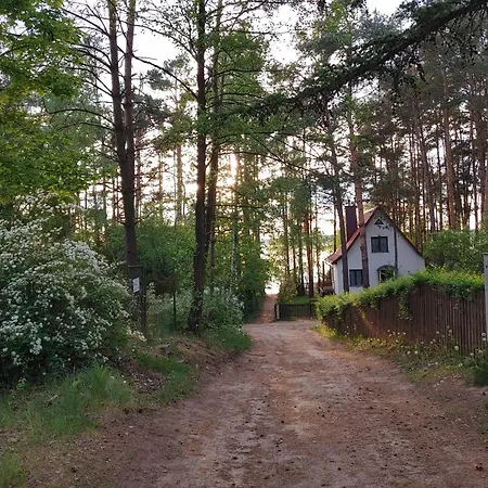 W Borach Tucholskich -