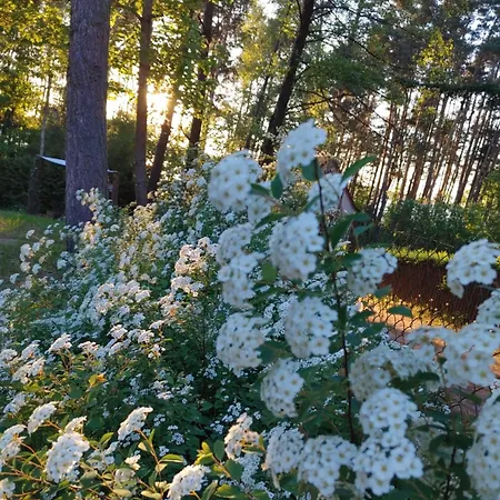 W Borach Tucholskich - Сasa de vacaciones