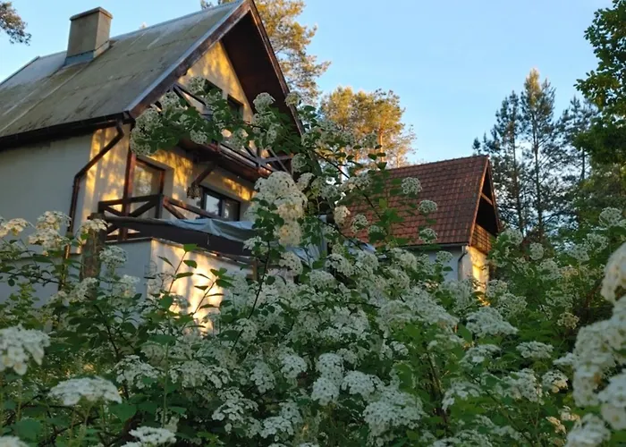Holiday home W Borach Tucholskich - Wycinki