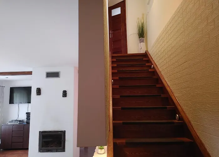 W Borach Tucholskich - * Wycinki