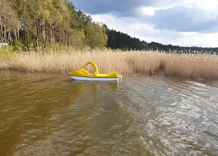 Holiday home W Borach Tucholskich - Wycinki