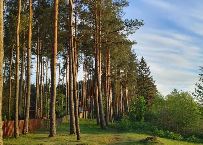 W Borach Tucholskich - Vakantiehuis
