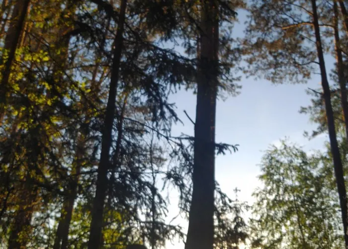 W Borach Tucholskich - Vakantiehuis Wycinki