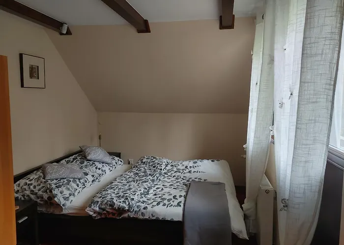 W Borach Tucholskich - *