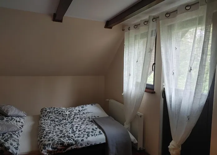 Vakantiehuis W Borach Tucholskich - Wycinki