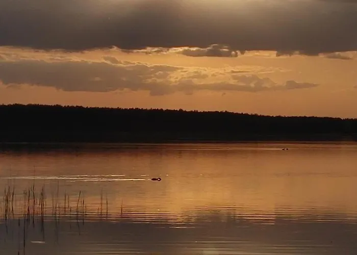Vakantiehuis W Borach Tucholskich - Wycinki
