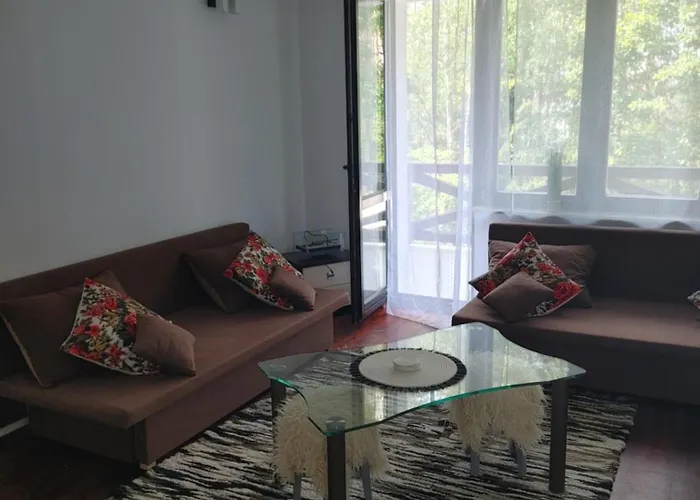 W Borach Tucholskich - Wycinki