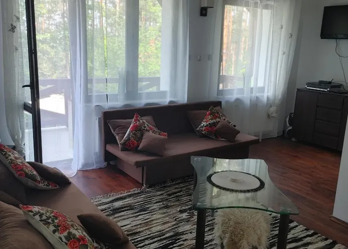 W Borach Tucholskich - * Wycinki