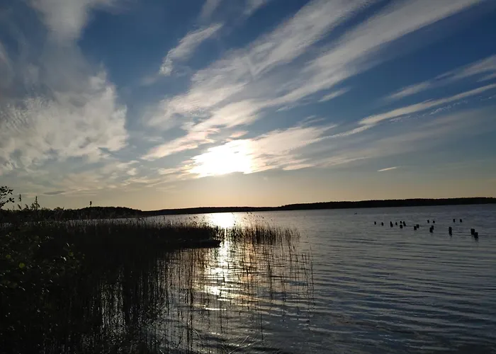 W Borach Tucholskich - *