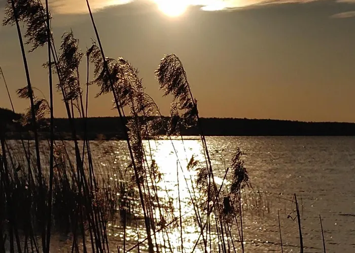 W Borach Tucholskich -