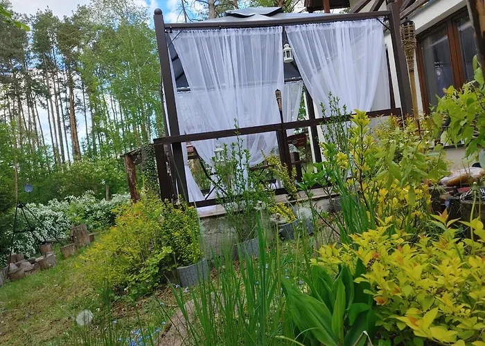 W Borach Tucholskich - Wycinki