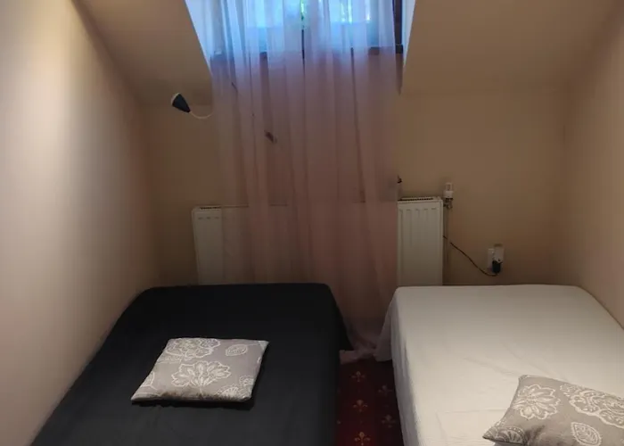 W Borach Tucholskich - * Wycinki