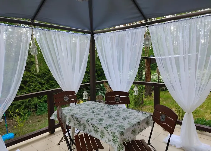 Vakantiehuis W Borach Tucholskich - *