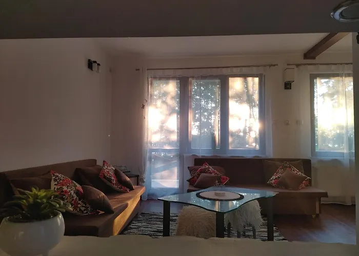 Vakantiehuis W Borach Tucholskich - *