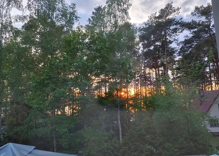 Vakantiehuis W Borach Tucholskich - *