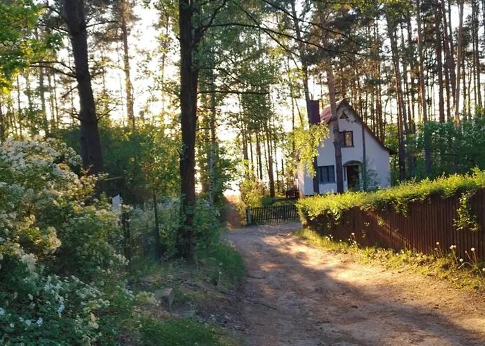 Holiday home W Borach Tucholskich -