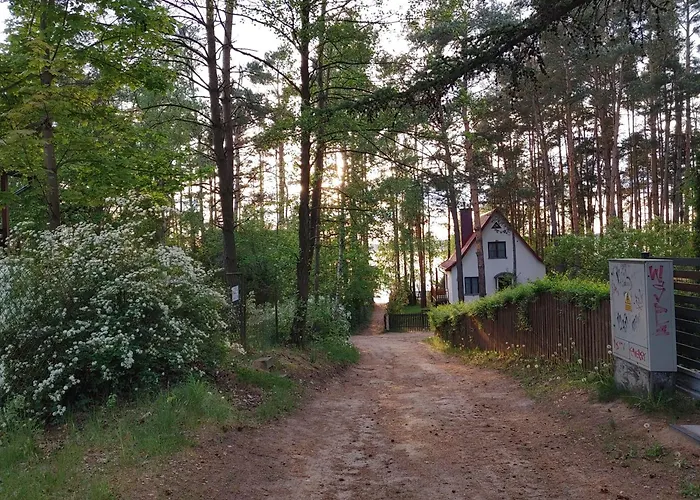 W Borach Tucholskich -