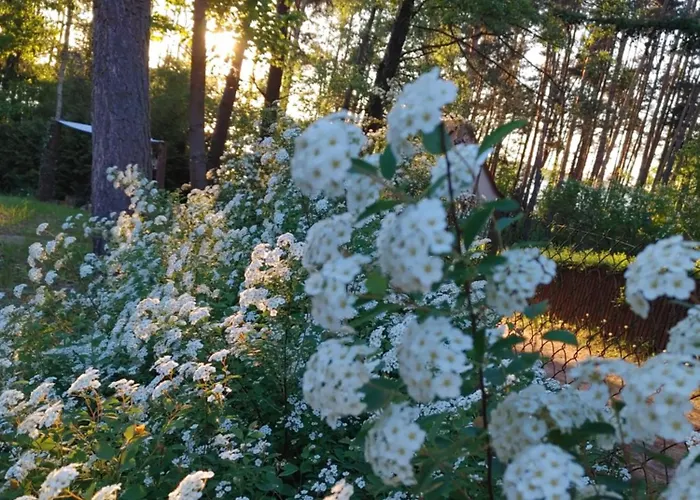 W Borach Tucholskich - Holiday home